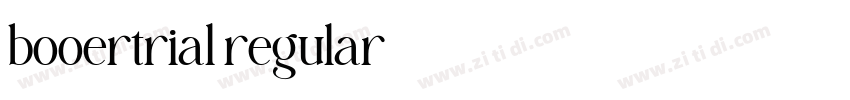 booertrial regular字体转换